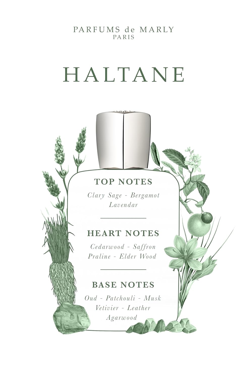 PARFUMS DE MARLY Haltane - Luxurious Men's Eau de Parfum