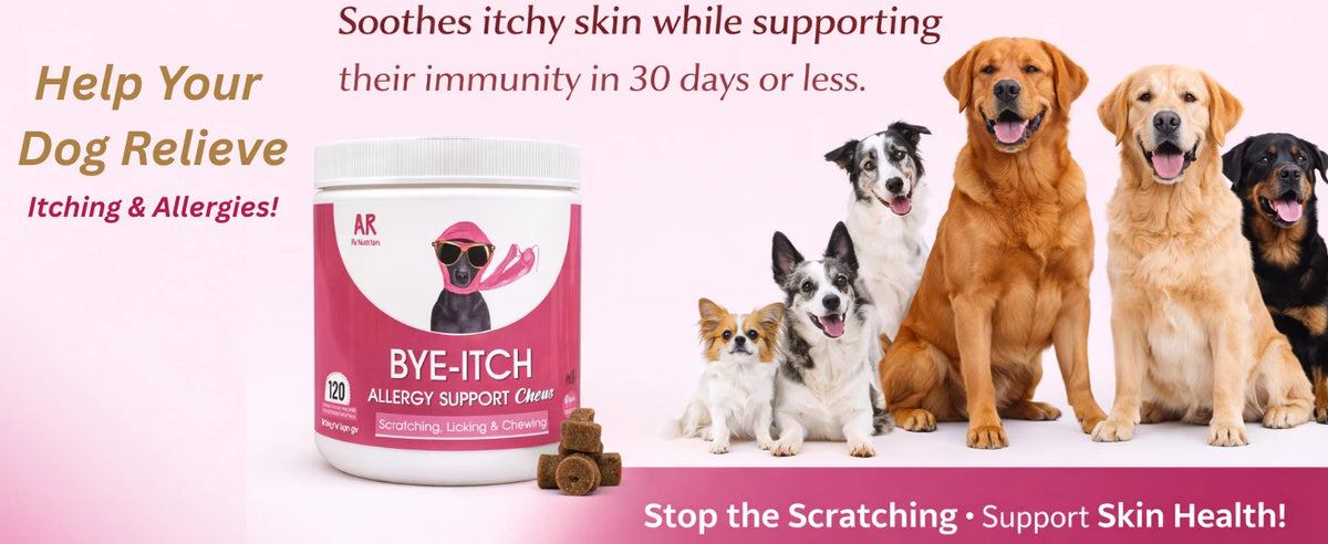 BYE-Itch Immunity Treats For Dogs - 120 Chews to Soothe Itchy Paws, Eyes, Ears & Skin - 360g