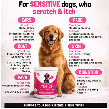 BYE-Itch Immunity Treats For Dogs - 120 Chews to Soothe Itchy Paws, Eyes, Ears & Skin - 360g