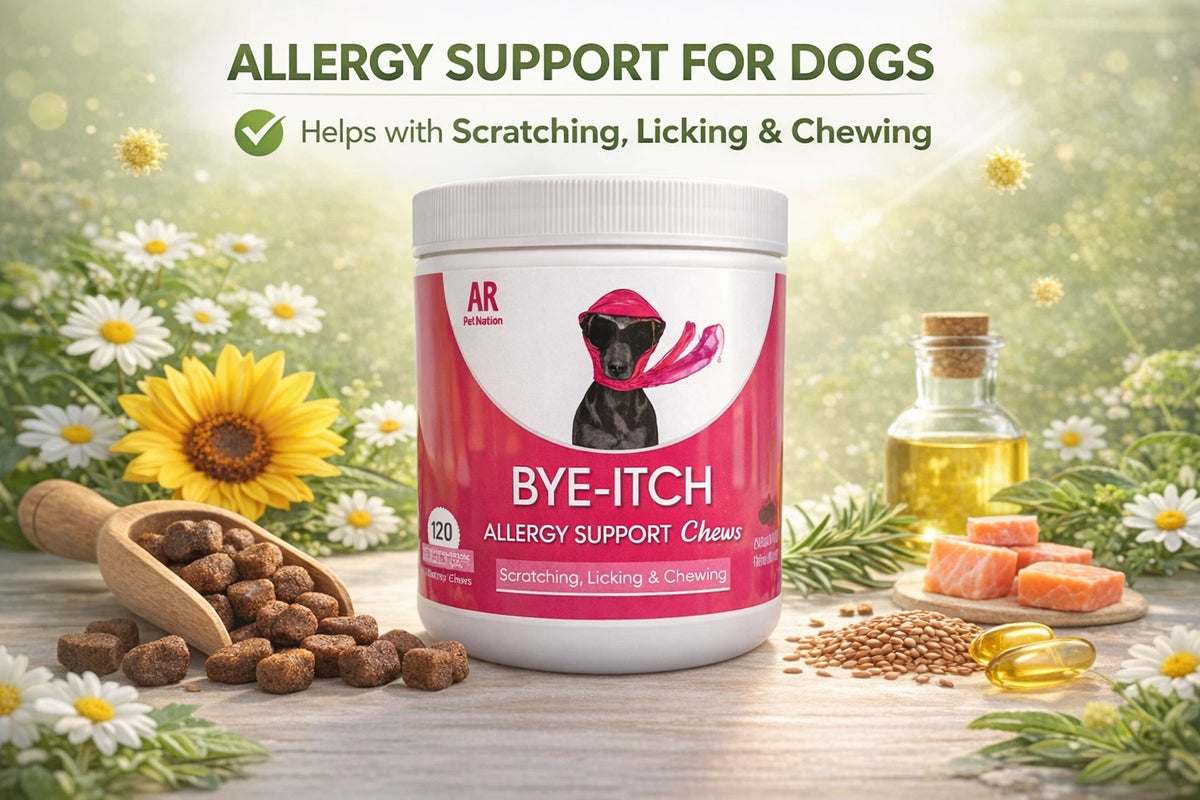 BYE-Itch Immunity Treats For Dogs - 120 Chews to Soothe Itchy Paws, Eyes, Ears & Skin - 360g